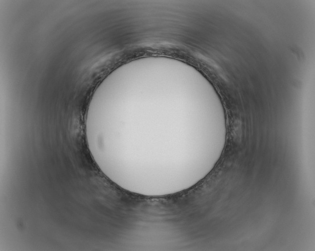 X0000113360966200910131257