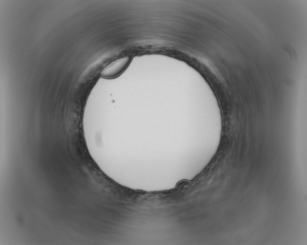 X0000113360967200910131257