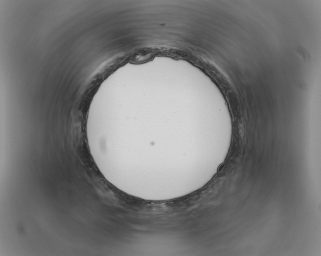 X0000113360968200910131257