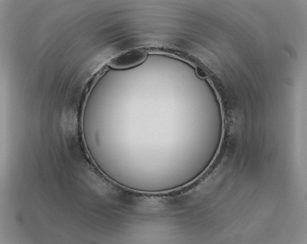 X0000113360969200910131257