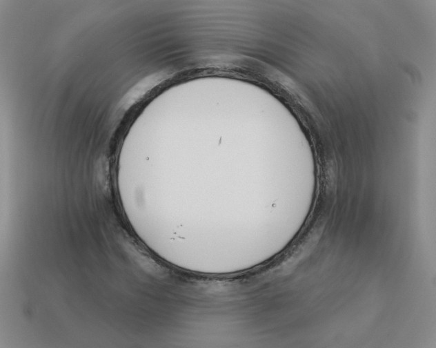 X0000113360970200910131257