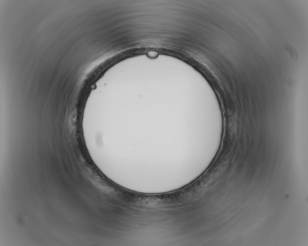 X0000113360971200910131257