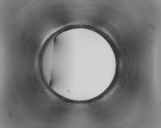 X0000113360973200910131257