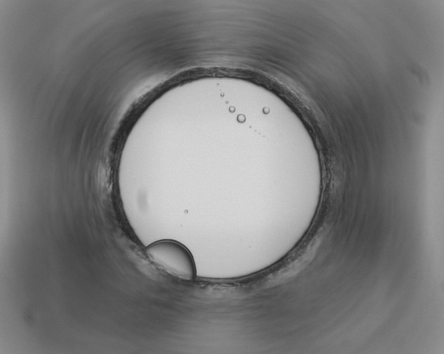 X0000113360974200910131257