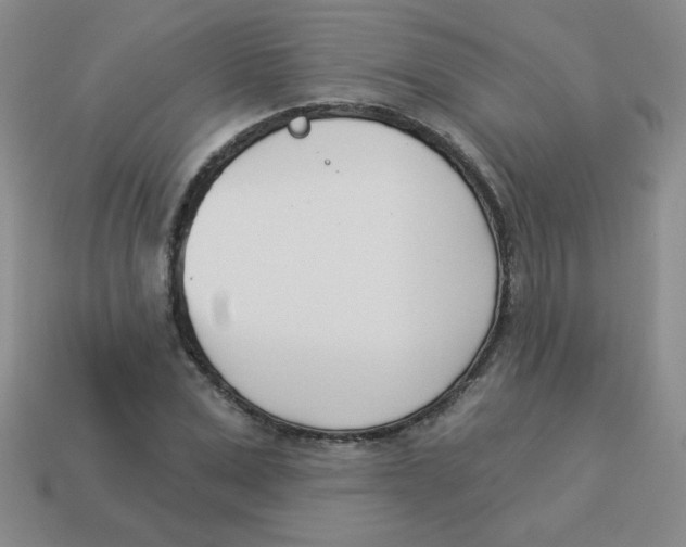 X0000113360975200910131257