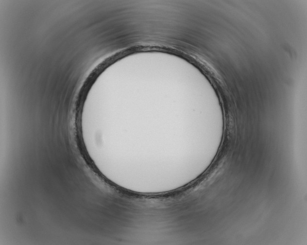 X0000113360976200910131257