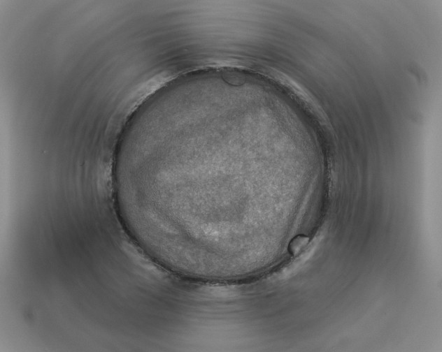 X0000113360977200910131257