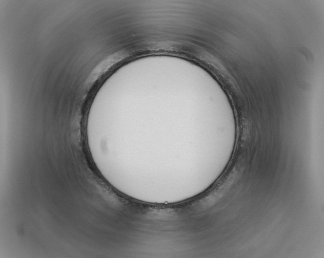 X0000113360978200910131257