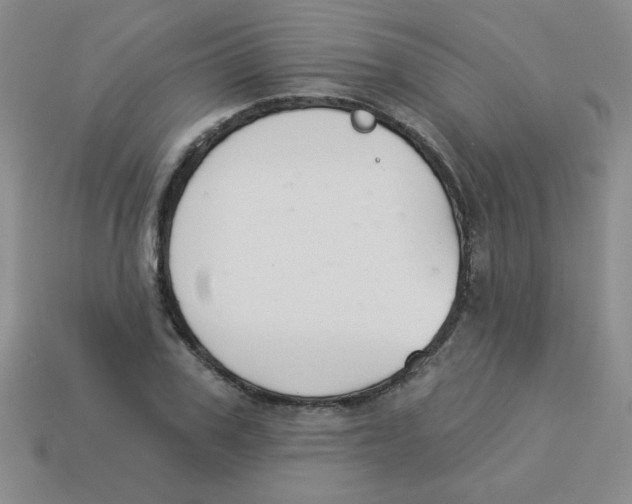 X0000113360979200910131257