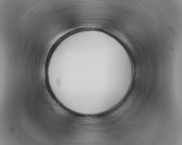 X0000113360980200910131257