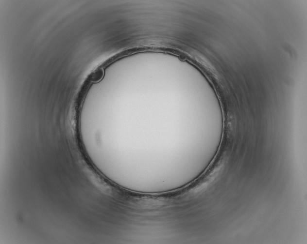 X0000113360981200910131257