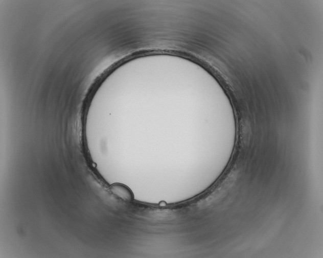 X0000113360982200910131257