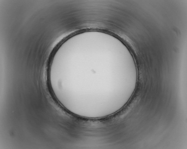 X0000113360983200910131257