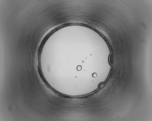 X0000113360984200910131256