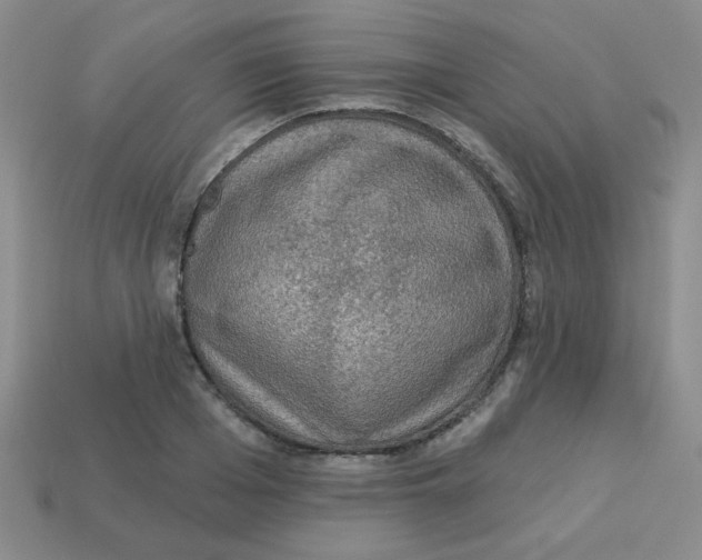 X0000113360985200910131256