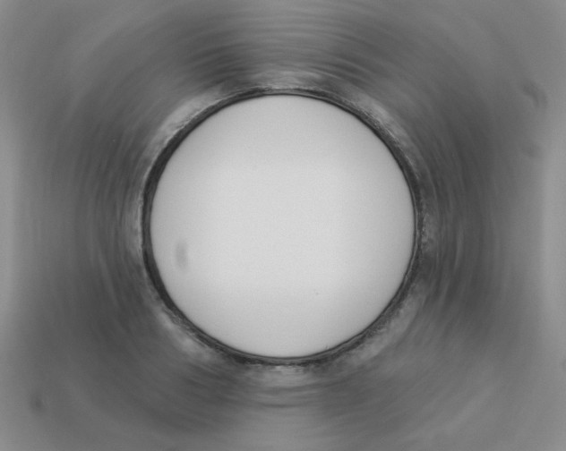 X0000113360986200910131256