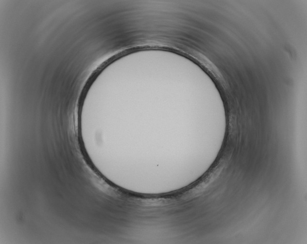 X0000113360988200910131256