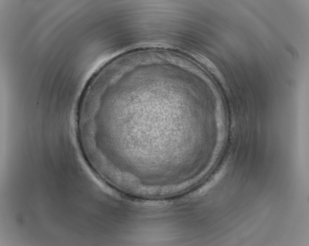 X0000113360989200910131256