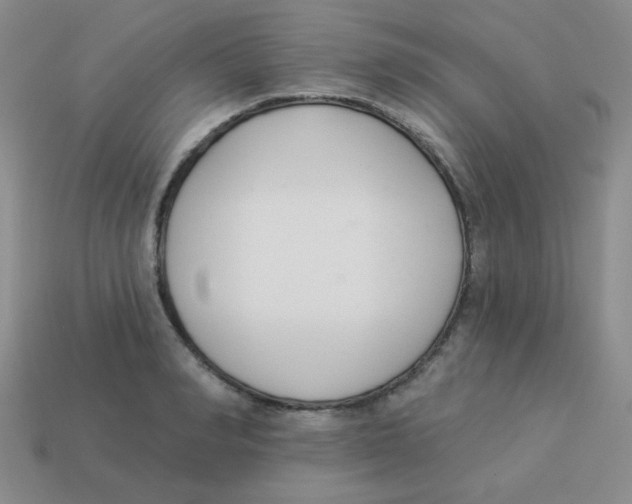 X0000113360990200910131256