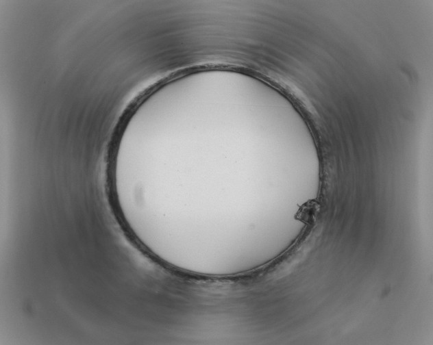 X0000113360991200910131256