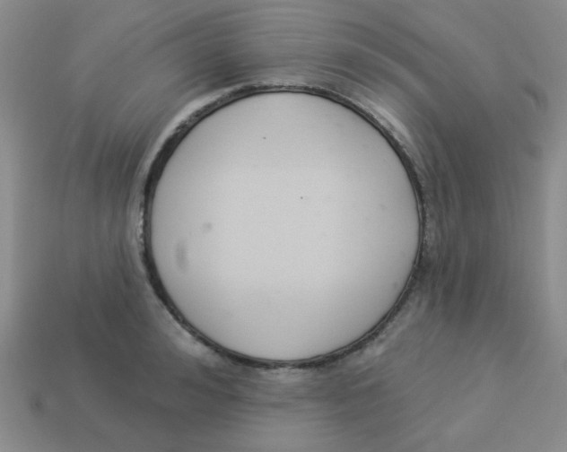 X0000113360992200910131256