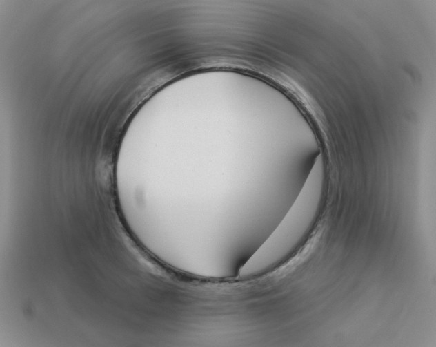 X0000113360993200910131256