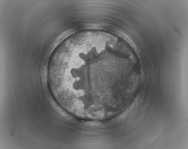 X0000113360994200910131256