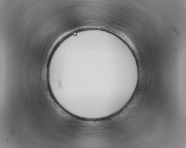 X0000113360996200910131256