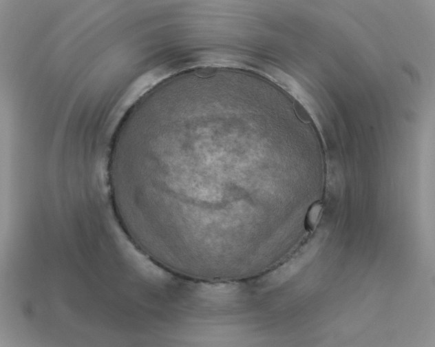 X0000113360997200910131256