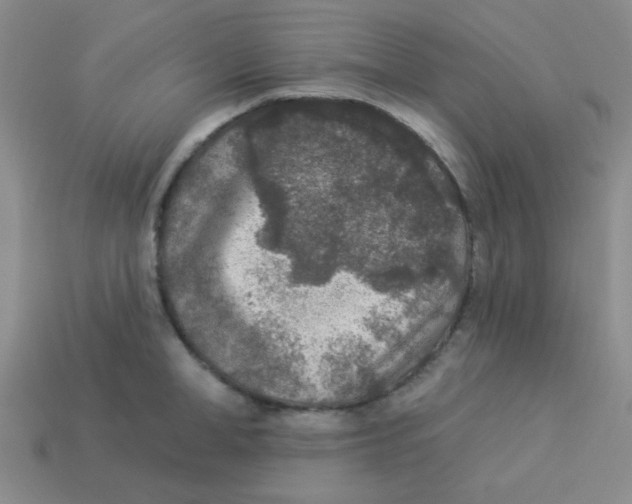 X0000113360998200910131256