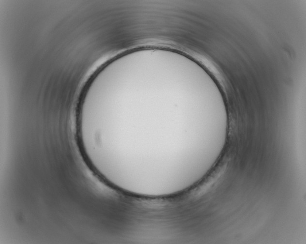 X0000113360999200910131256