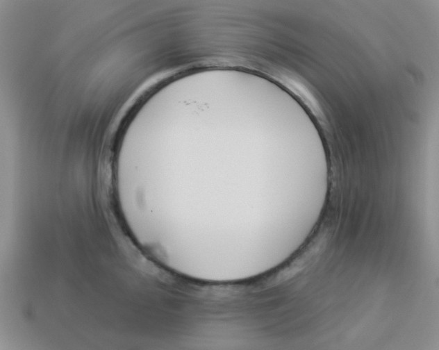 X0000113361000200910131256