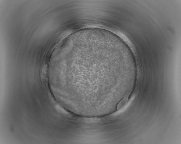 X0000113361001200910131256