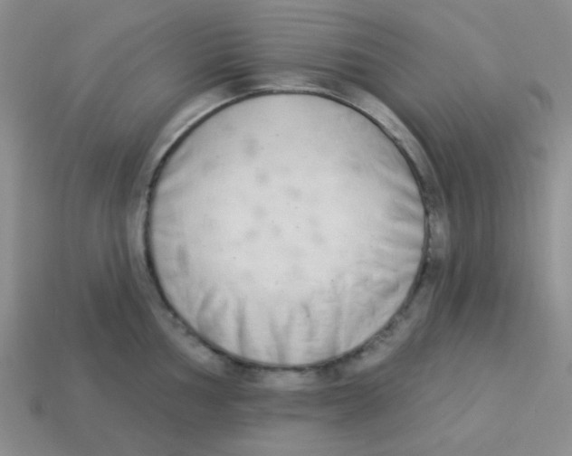 X0000113361002200910131256