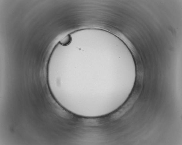 X0000113361004200910131256