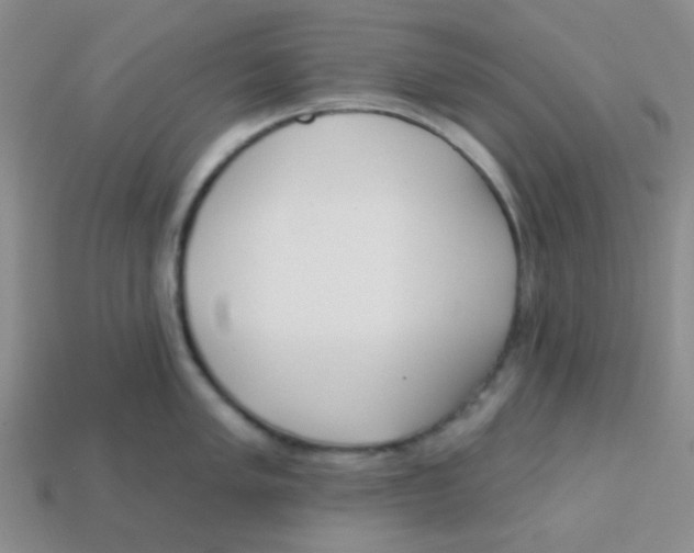 X0000113361005200910131256