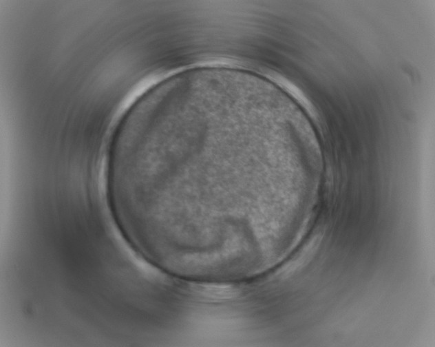 X0000113361007200910131256