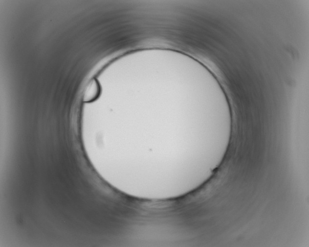 X0000113361008200910131256