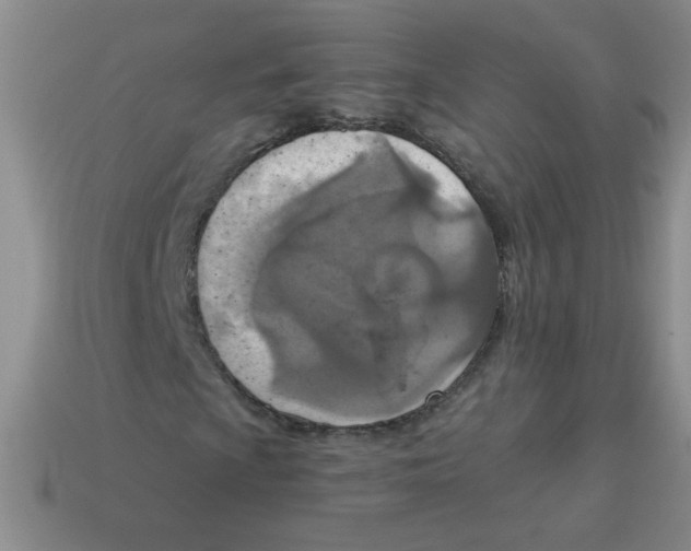 X0000113361009200910131256