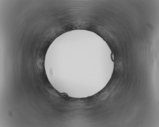 X0000113361010200910131256