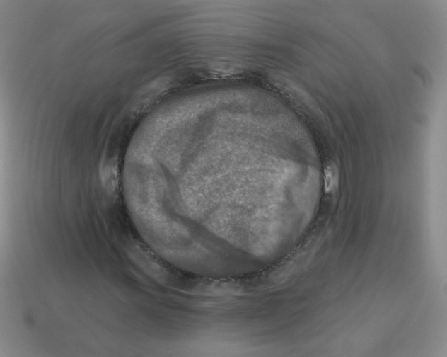 X0000113361011200910131256