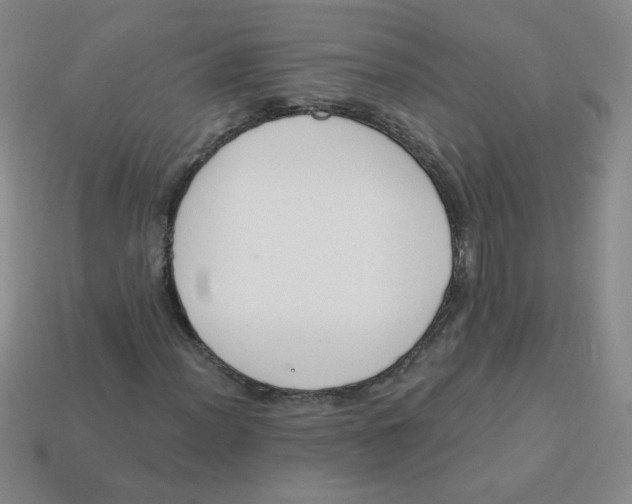 X0000113361012200910131256