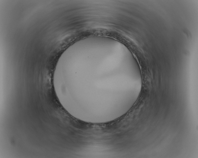 X0000113361013200910131256