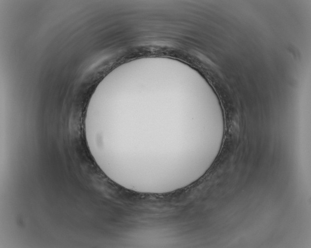 X0000113361014200910131256