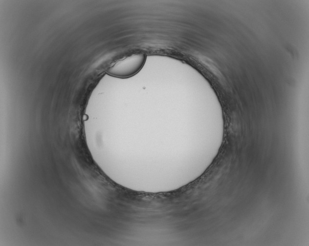 X0000113361015200910131256