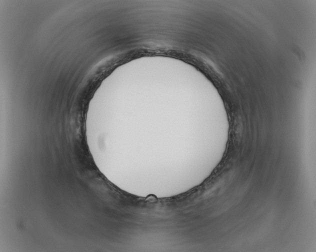 X0000113361016200910131256