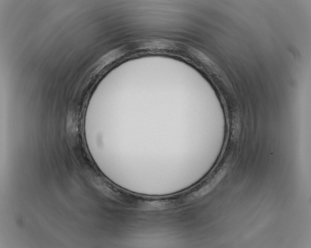 X0000113361017200910131256