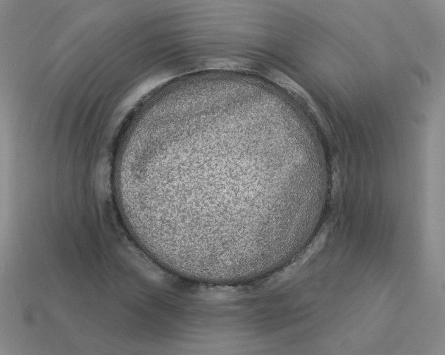 X0000113361019200910131256