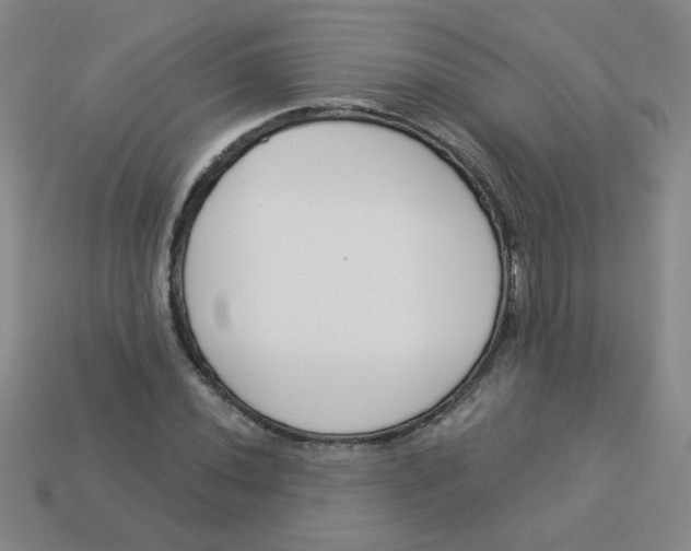 X0000113361020200910131256