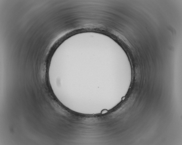 X0000113361021200910131256